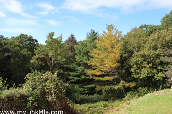 Wooded view off 1st floor Main House Deck