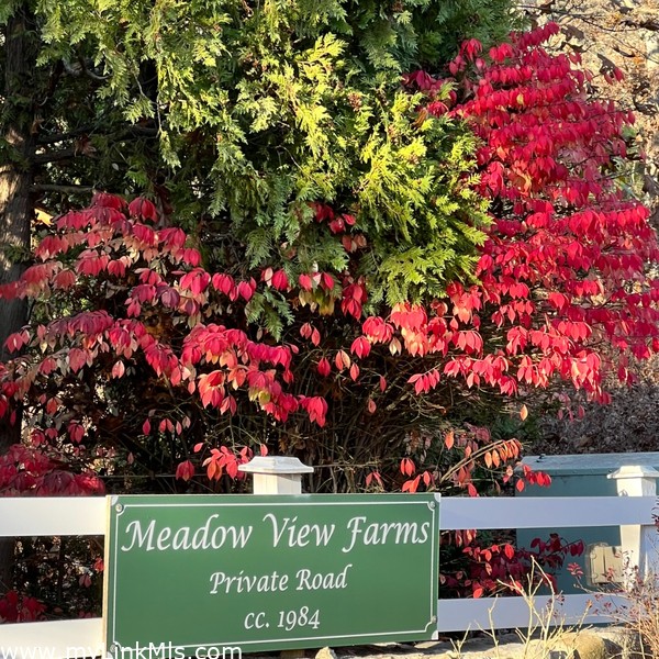 Meadow View Farms