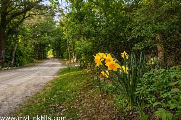 A quiet country road