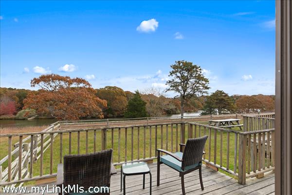 pond views