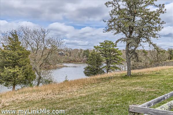 pond views