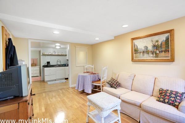 Guest apartment living room on first floor