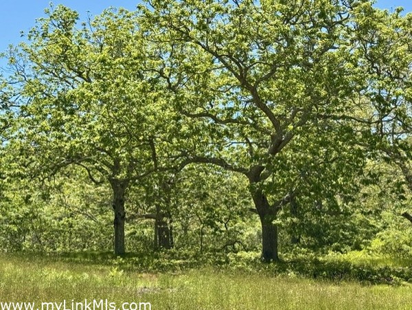 Beautiful 3 acre parcel