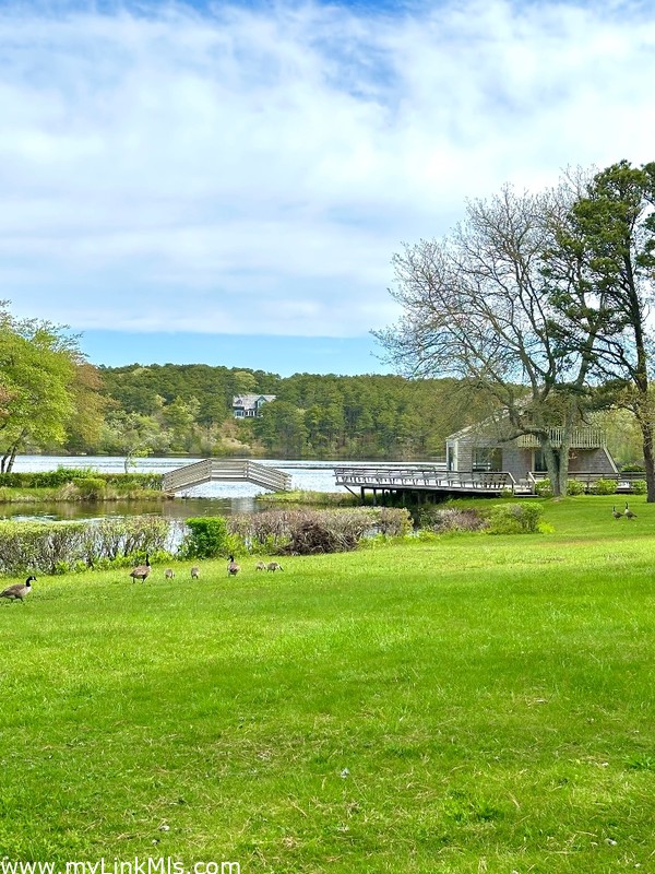 Tranquil clubhouse and freshwater pond
