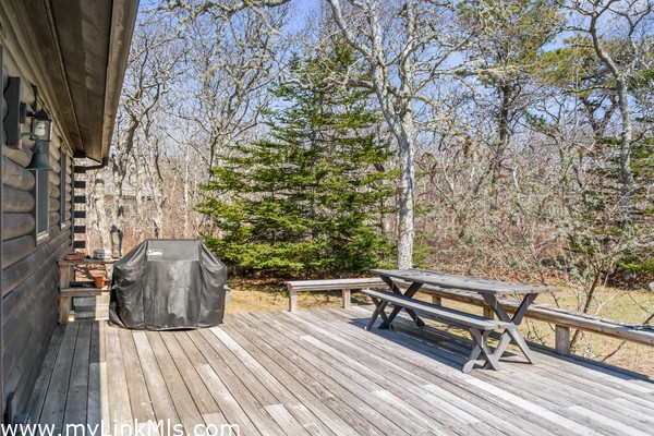 Guest house back deck with room to grill and gather. Walkway to large basement with pool table and cedar closet storage and custom outdoor shower