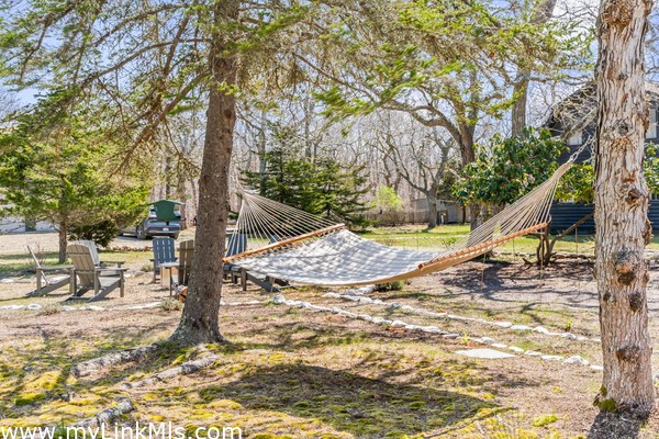 A peaceful spot for a hammock