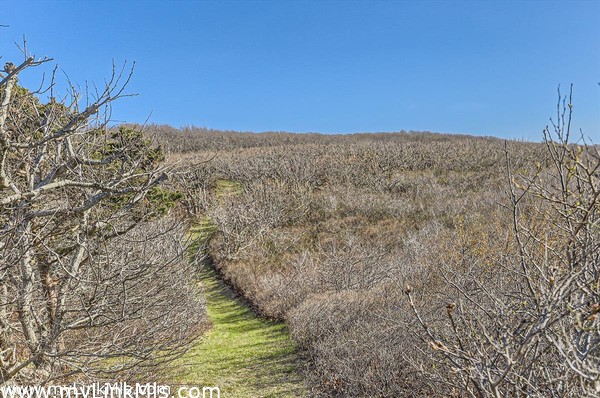 Bluff Path to Great Rock Bight Cove