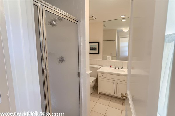 Lower Level Full Bath and Shower