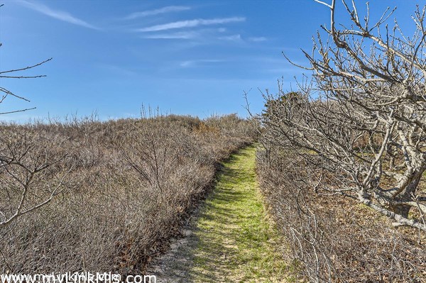 Bluff Path to Spring Point Beach