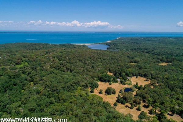 3 private acres in West Tisbury.