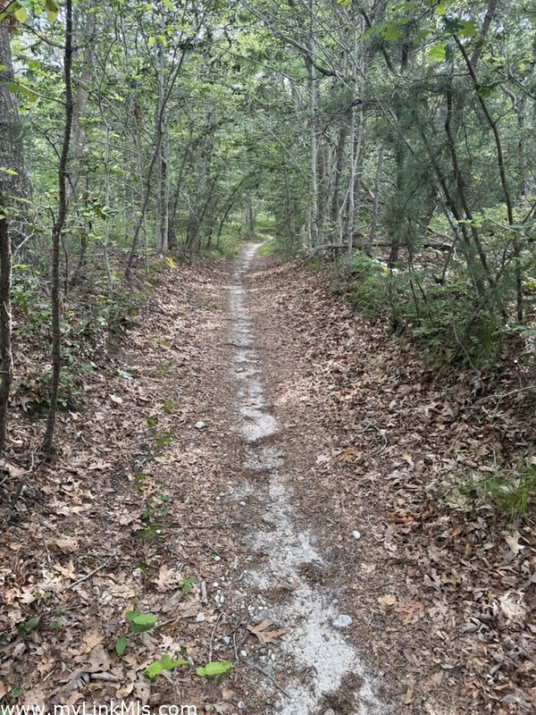 Hiking & bike trails off of Tiffany Drive and Tiffany Lane through 292 acres of the Southern Woodlands.