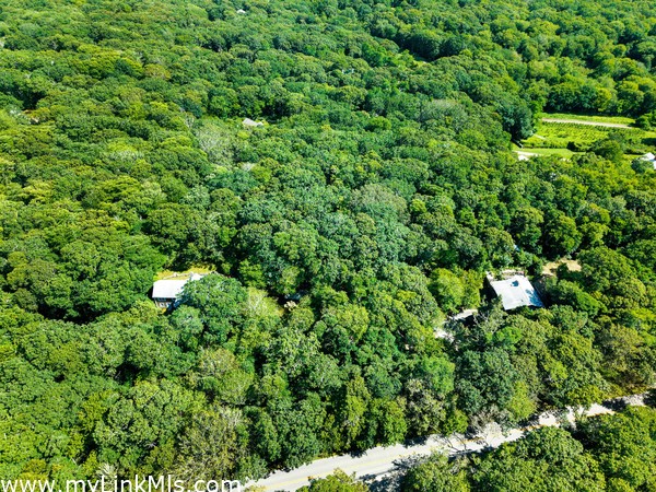 Aerial, house/guest house visible