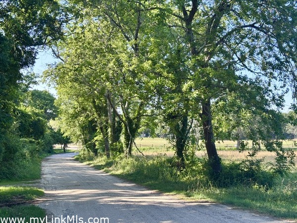 Field View Lane approach to home