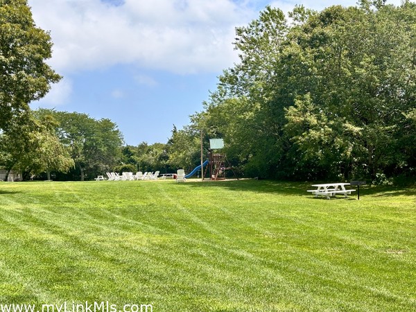 Expansive lawn with picnic table and grills