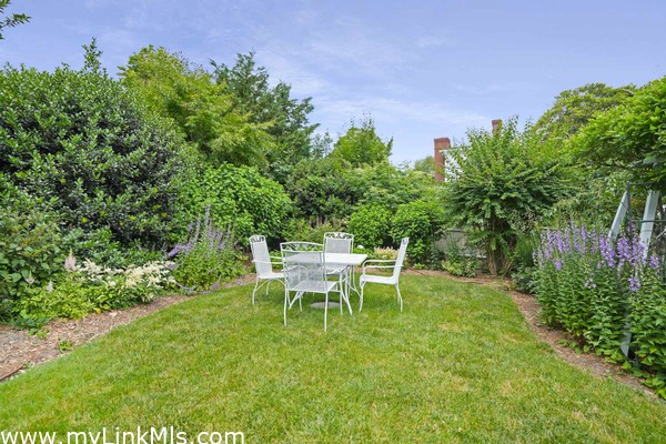 Back Garden