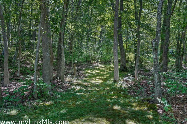 Path from the house towards the walking paths