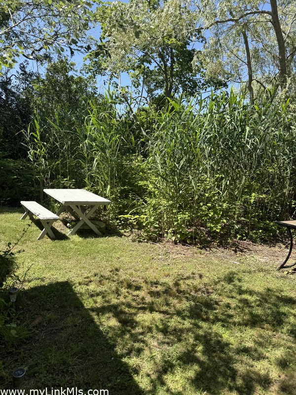 More yard