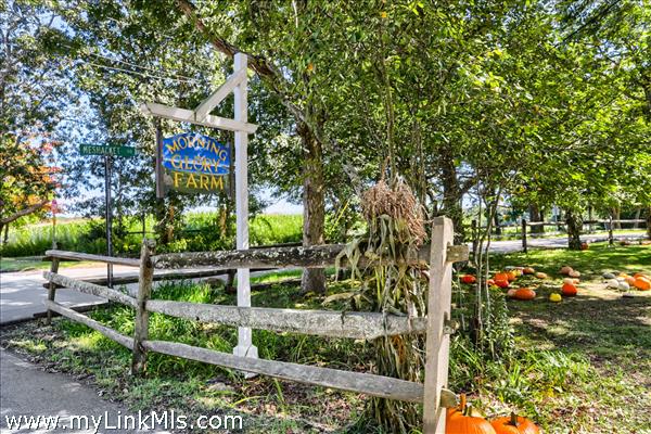 Close to Morning Glory Farm