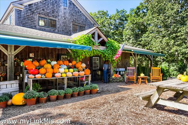 For farm to table groceries and flowers