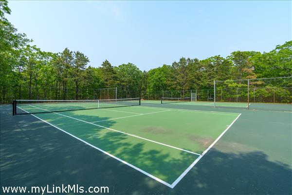 Neighborhood Tennis / Pickleball Courts