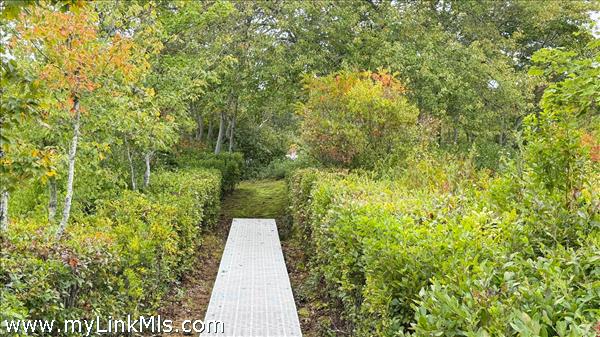 Foot path