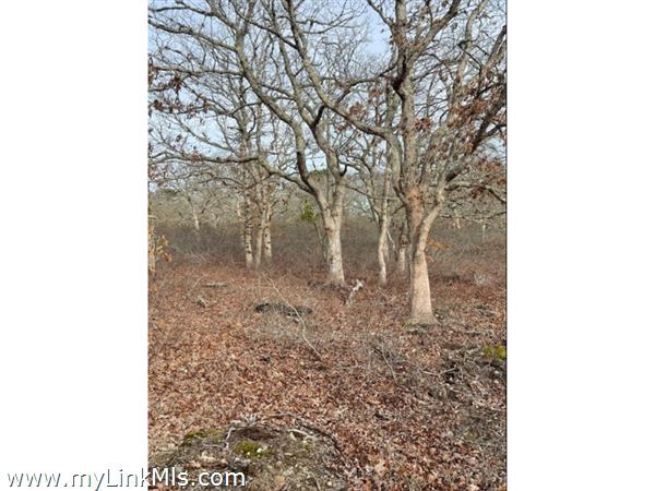 22 Bramble Path, West Tisbury